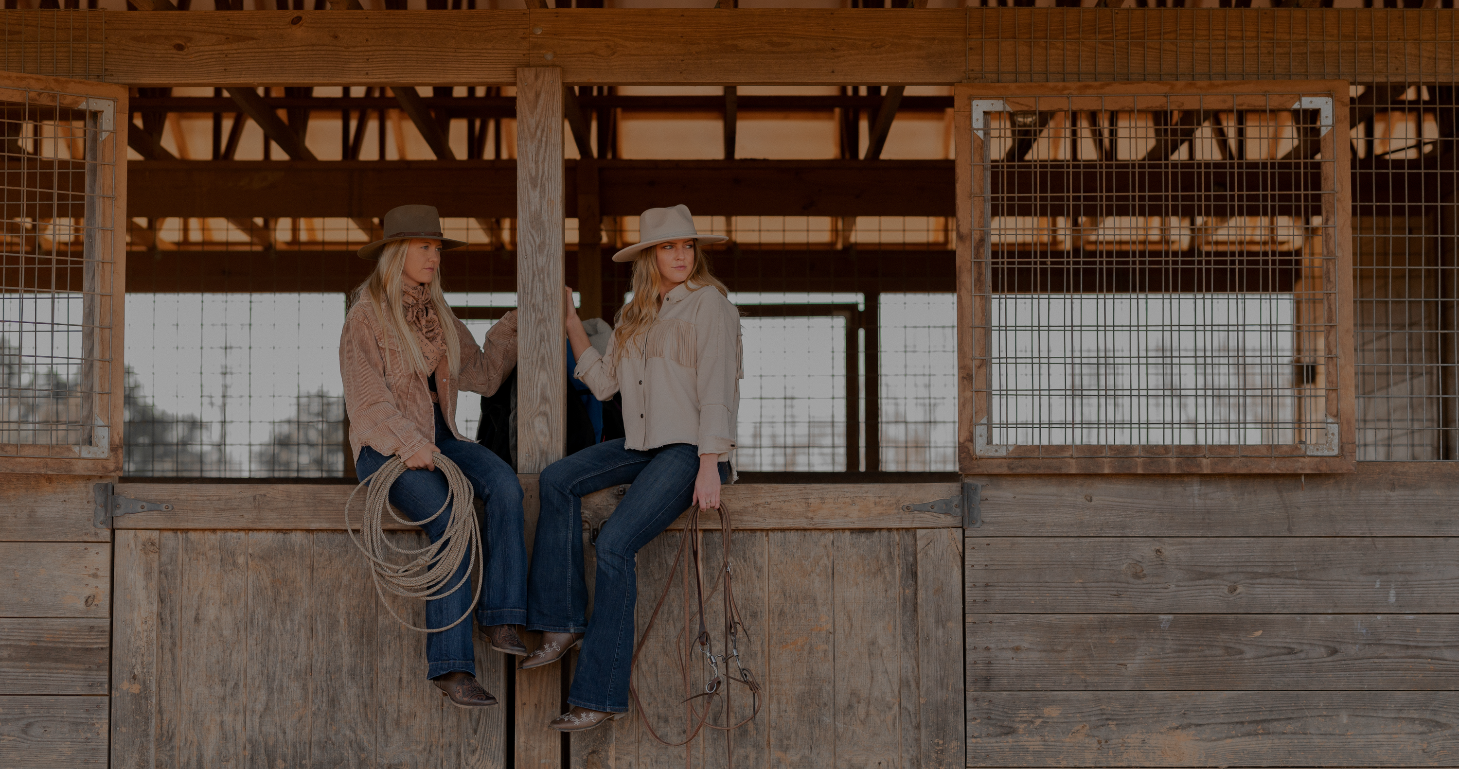 black friday horse deals