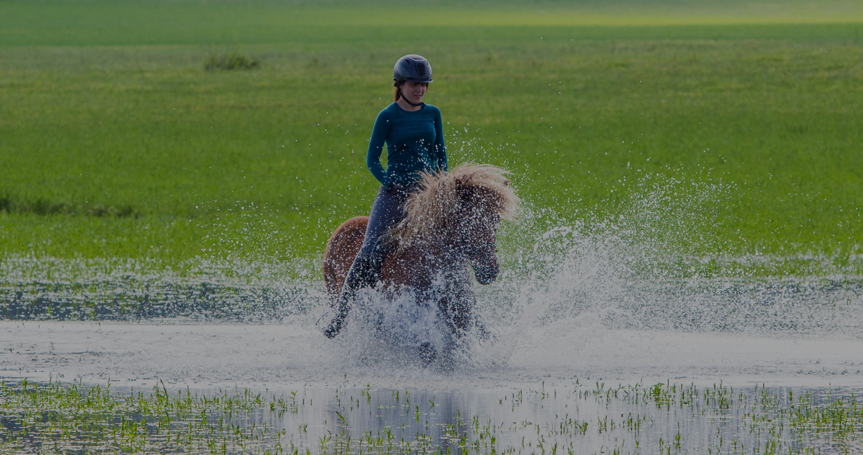 Will Rain Damage Your Leather Saddle?
