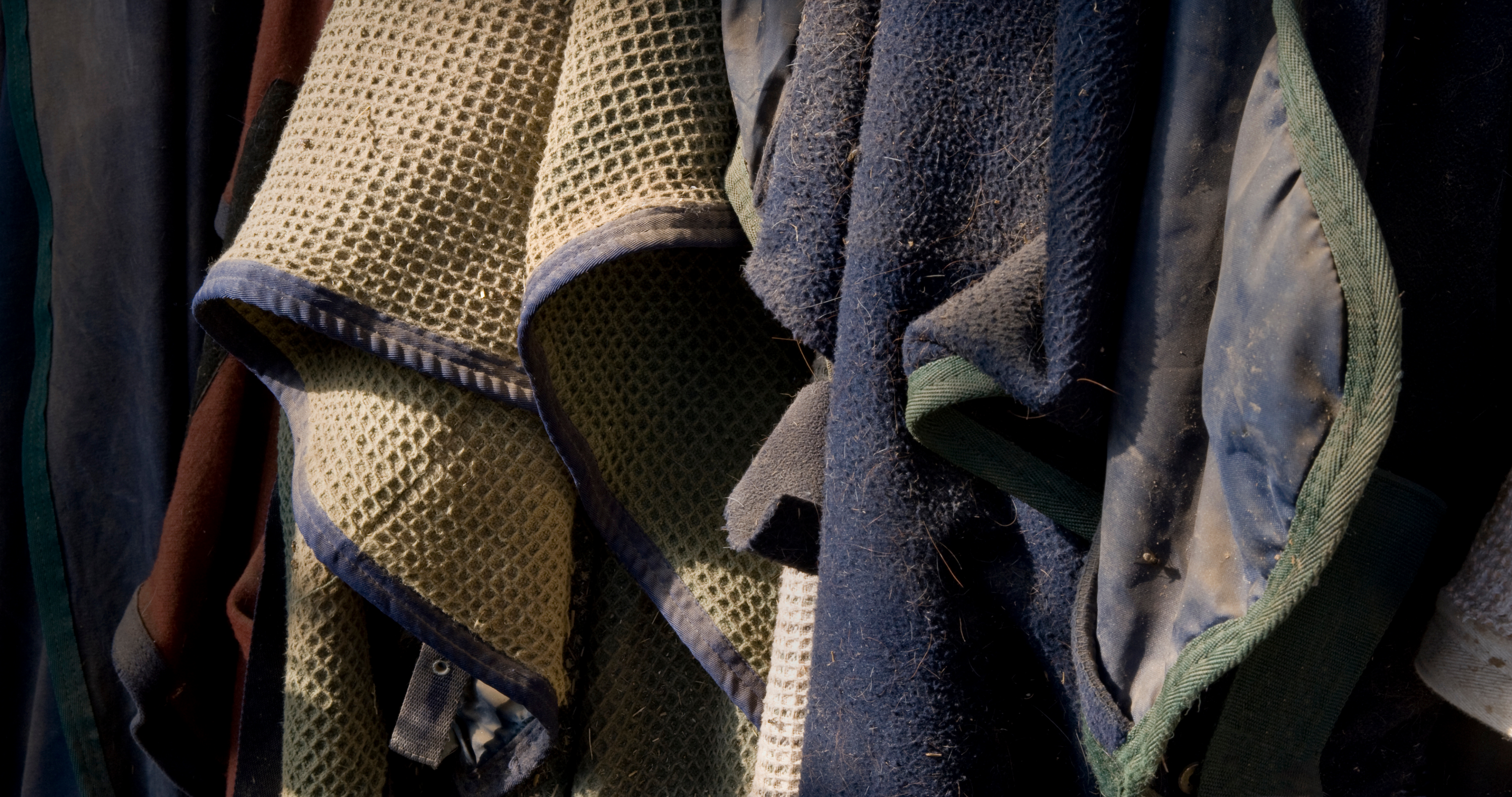 horse blanket cleaning