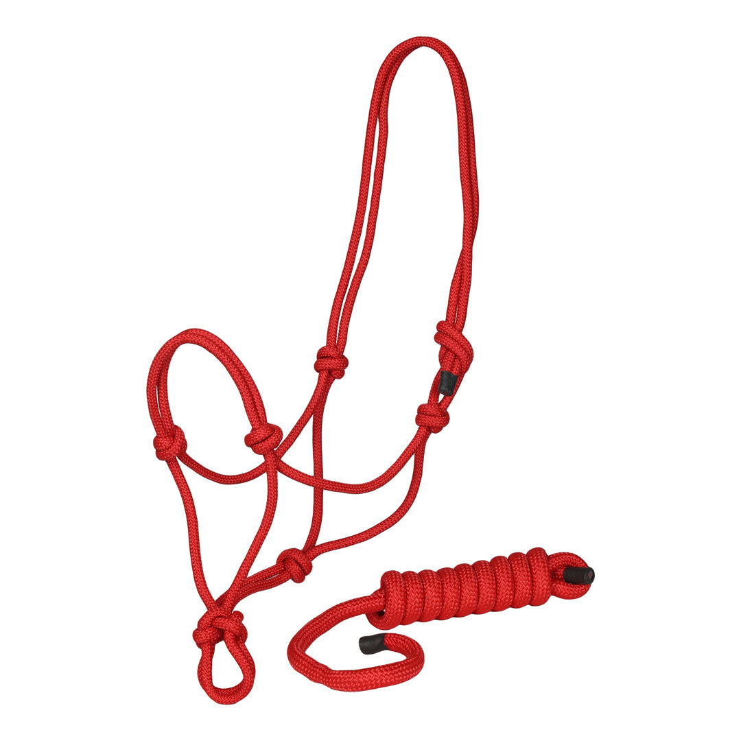 TuffRider Rugged Rope Halter with matching lead