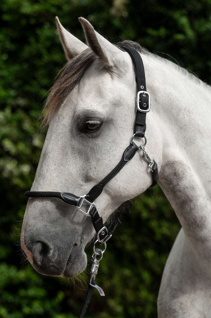 HKM Carlotta Head Collar - Breeches.com