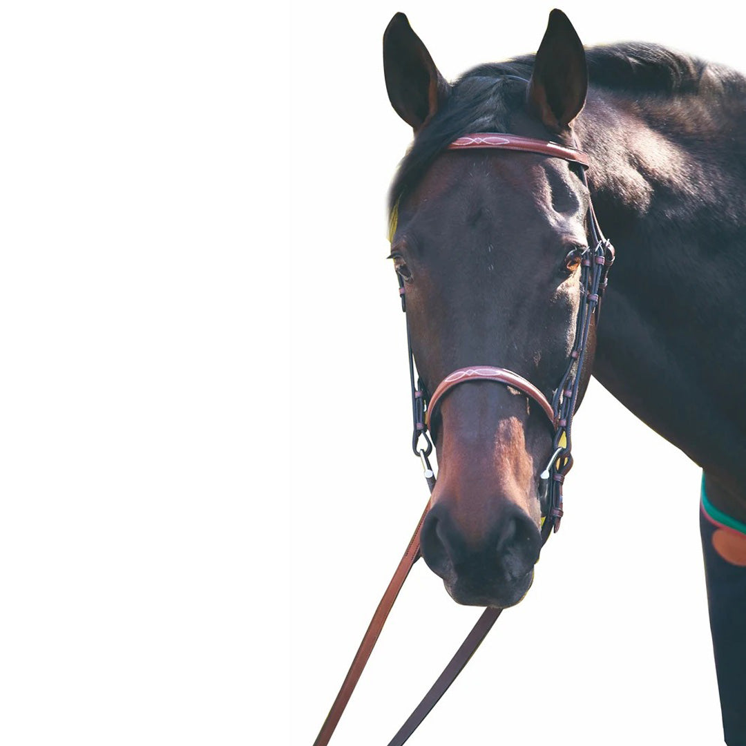 Henri de Rivel Advantage Fancy Raised Snaffle Bridle With Laced Reins - Breeches.com