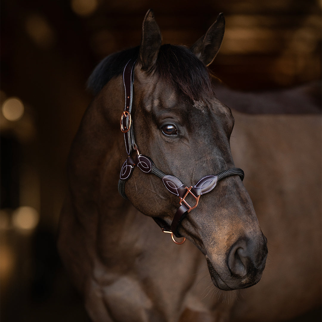 Henri de Rivel Leather Rope Halter