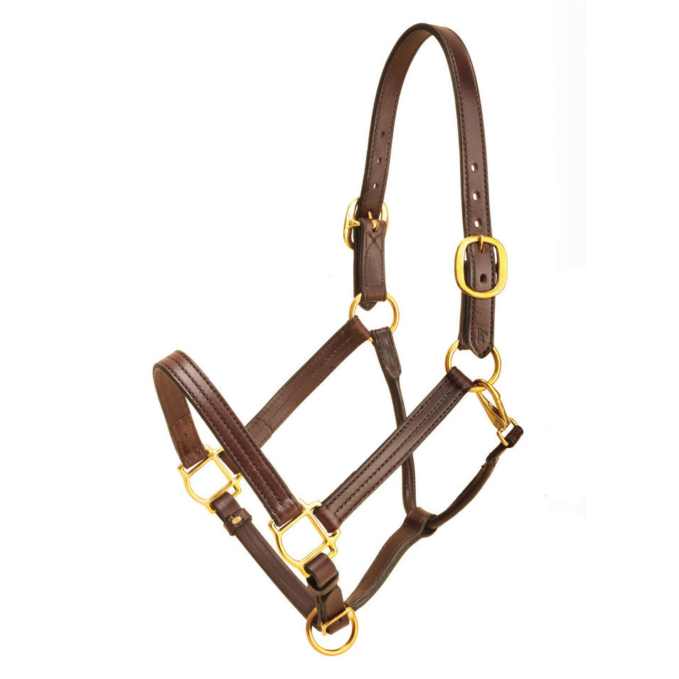 Tory Leather 1 Wide Triple Stitched Halter With Rolled Snap Throat, Adjustable Nose And Solid Brass Hardware- Black, Cob