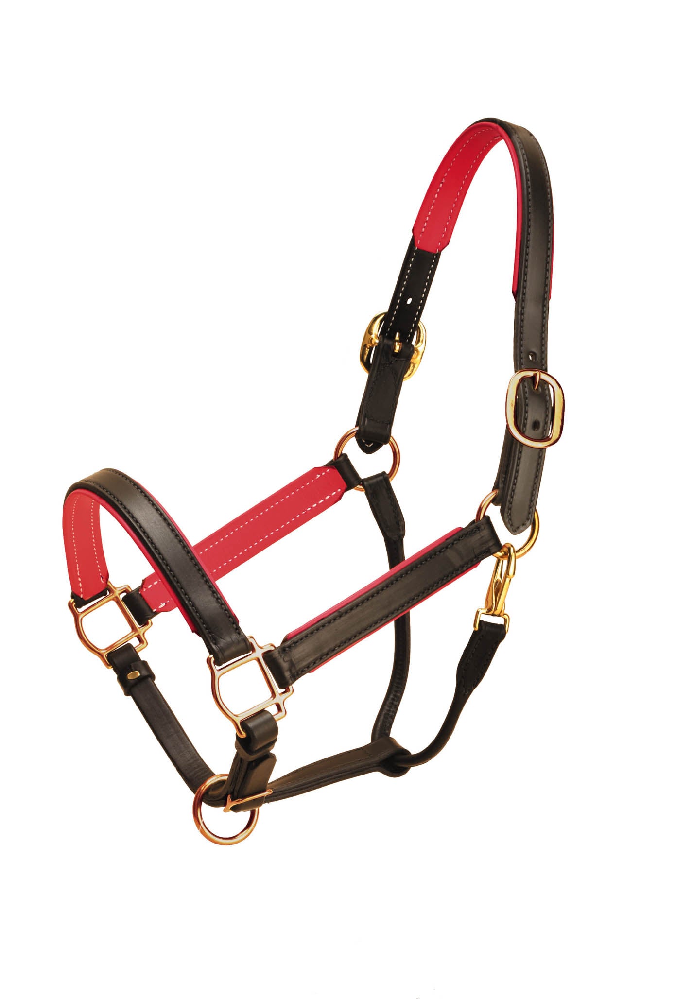 Tory Leather 1in Wide Padded Leather Halter- Black/Green, Cob