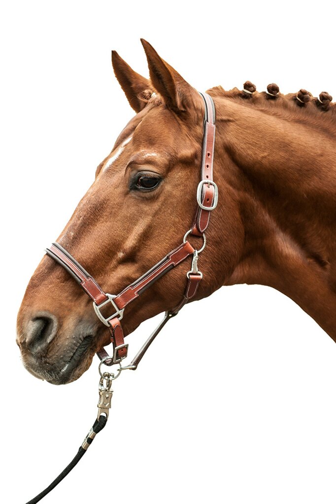 HKM Leather Head Collar -Soft-Brown - Breeches.com