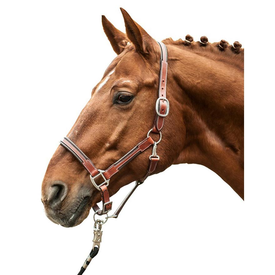 HKM Leather Halter -Soft-Brown