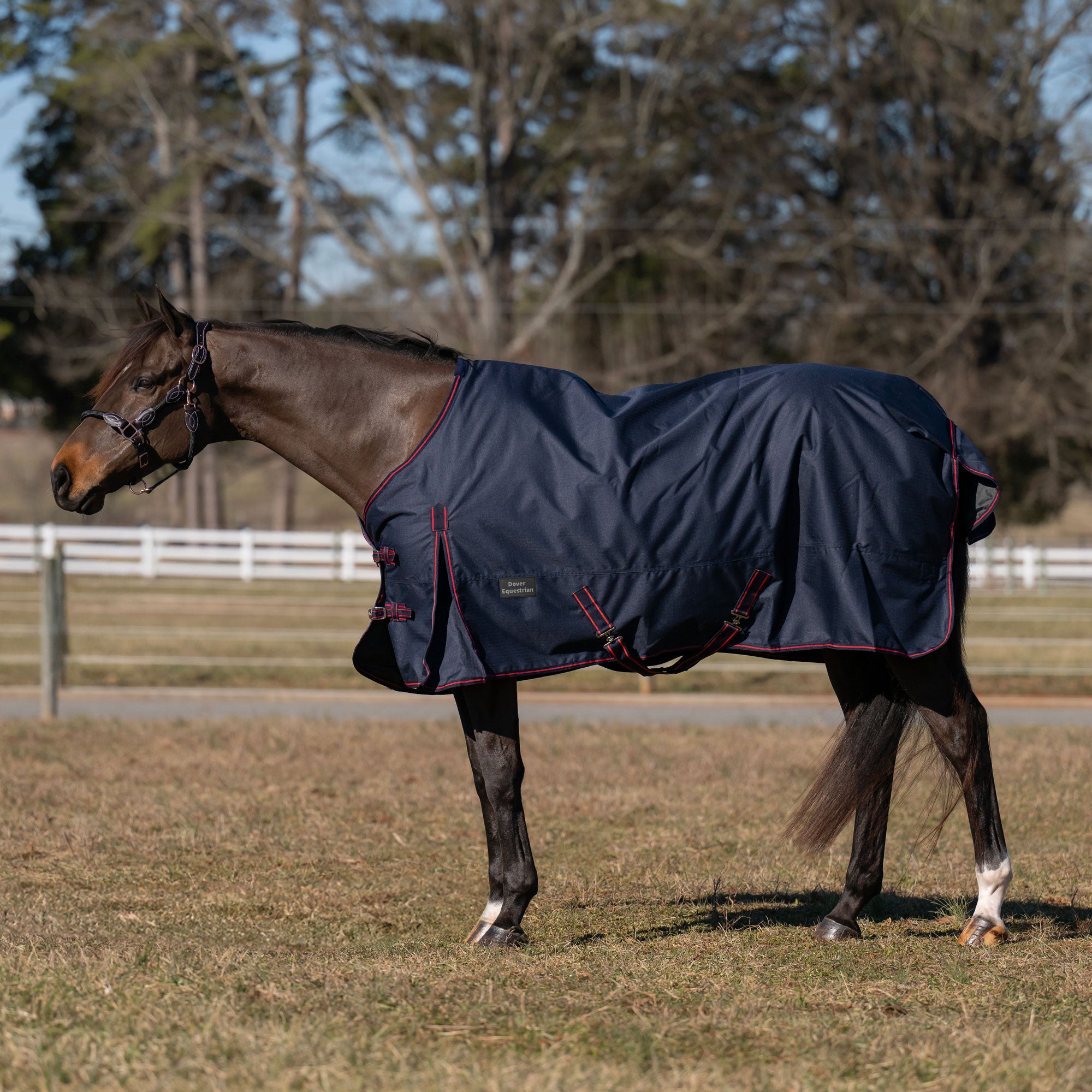 Dover Equestrian Ripstop Standard Neck Turnout Blanket with 100 GSM Fill