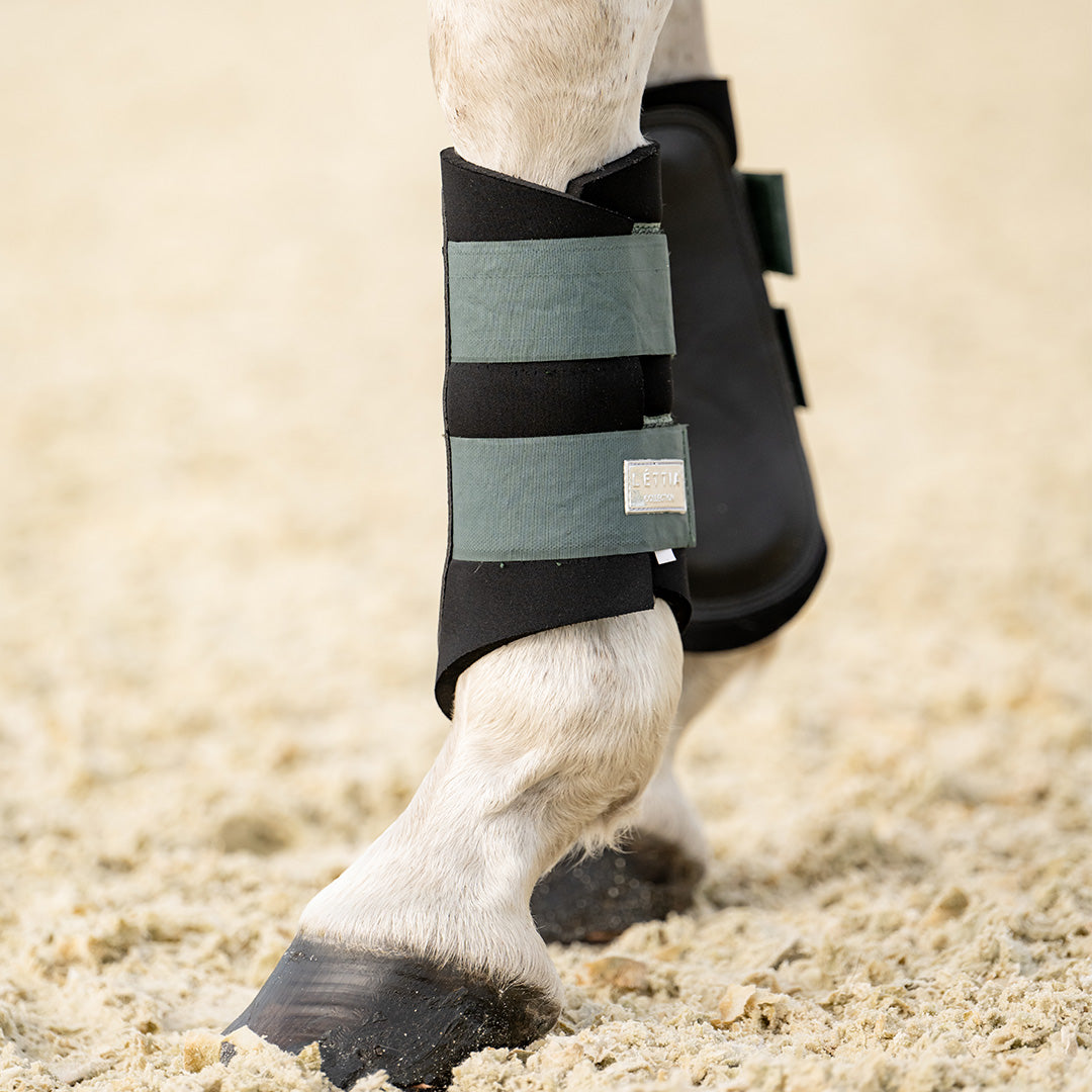 Lettia EquiFine Horse Boot