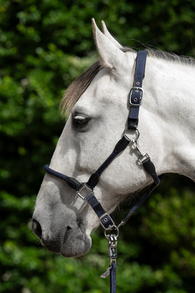 HKM Carlotta Head Collar - Breeches.com
