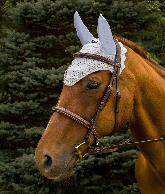 Equine Couture Fly Bonnet with Pearls and Crystals - Breeches.com