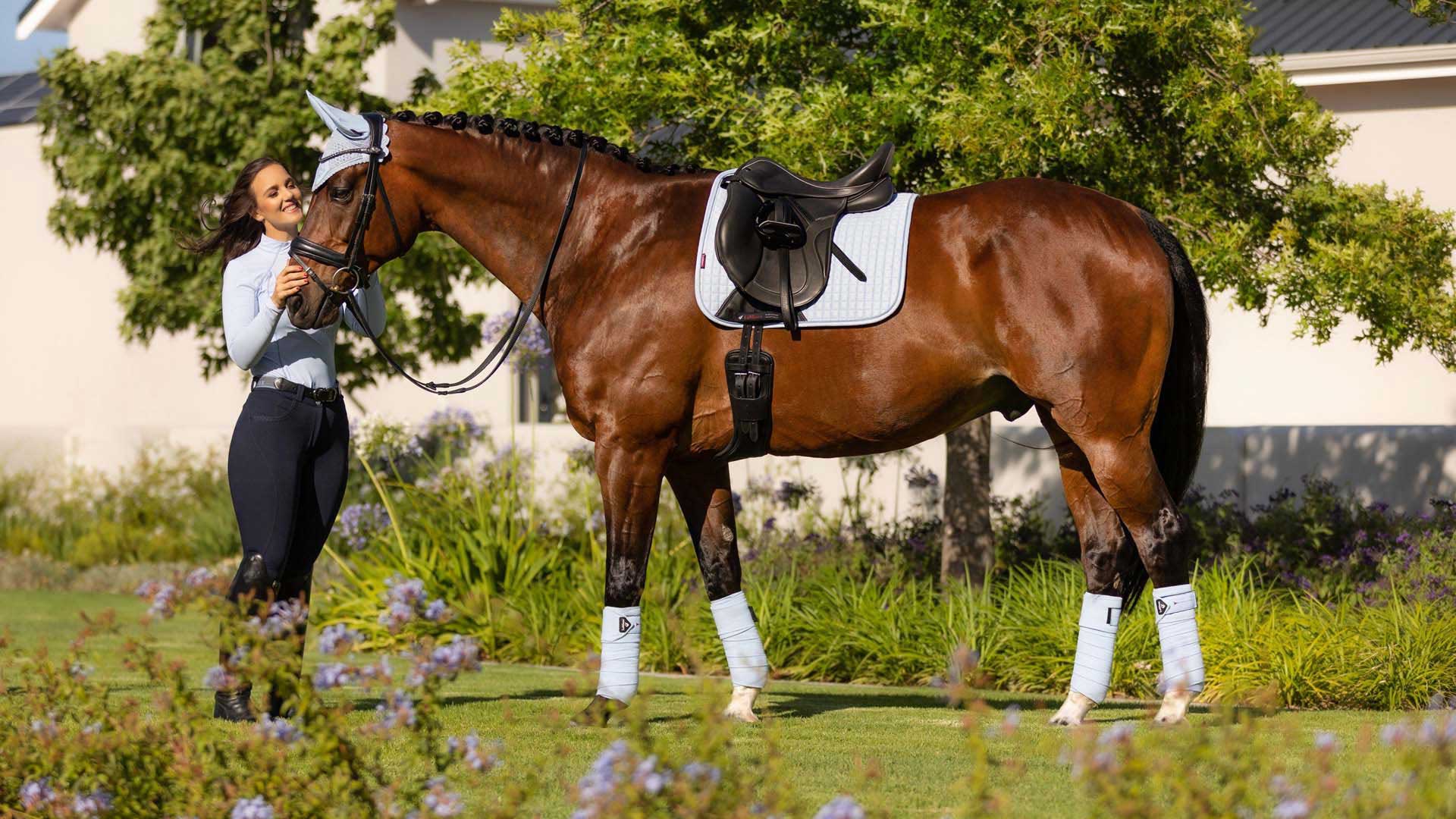 Lemieux Suede Dressage Square Saddle Pad - Breeches.com