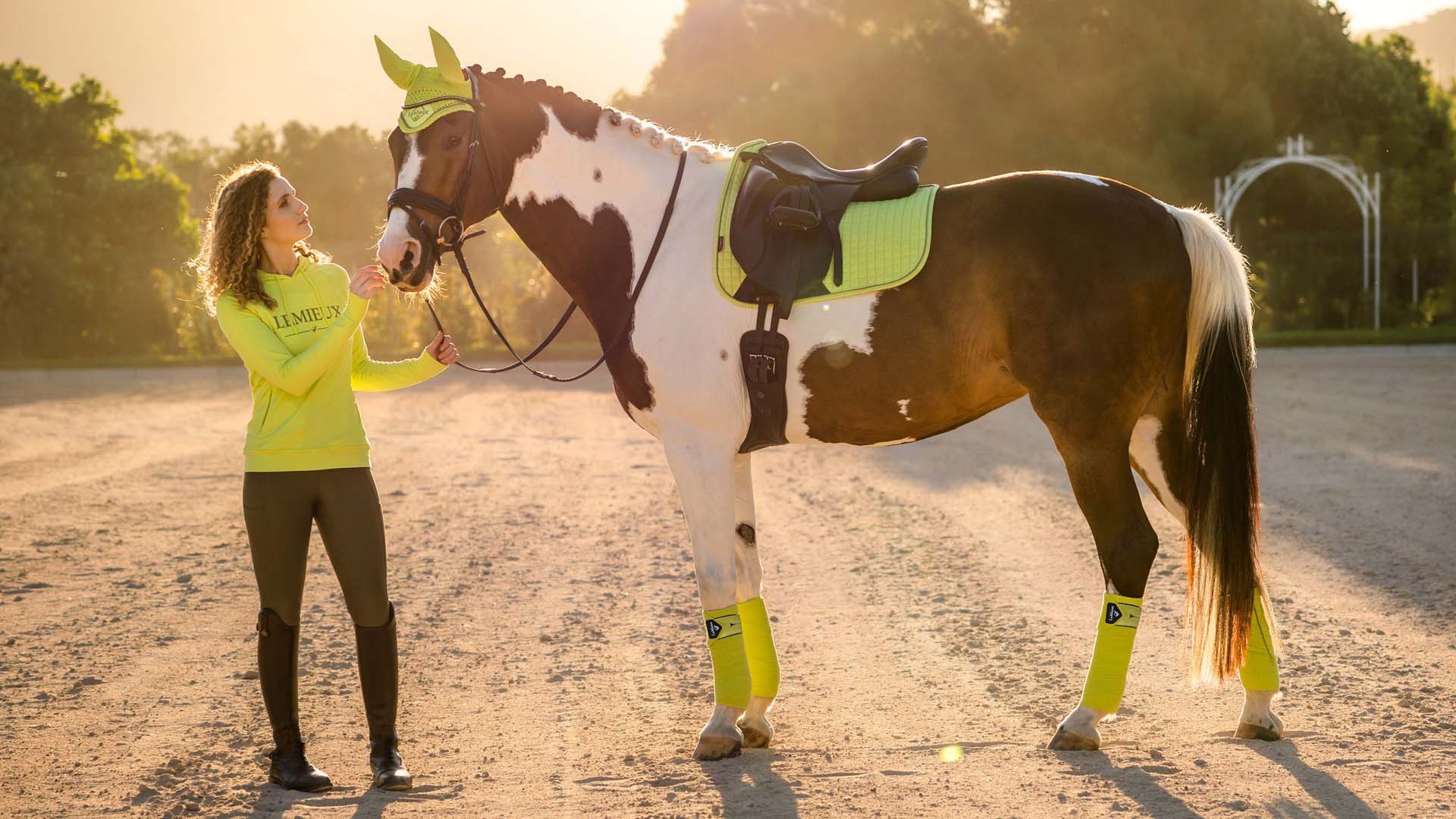 Lemieux Suede Dressage Square Saddle Pad - Breeches.com