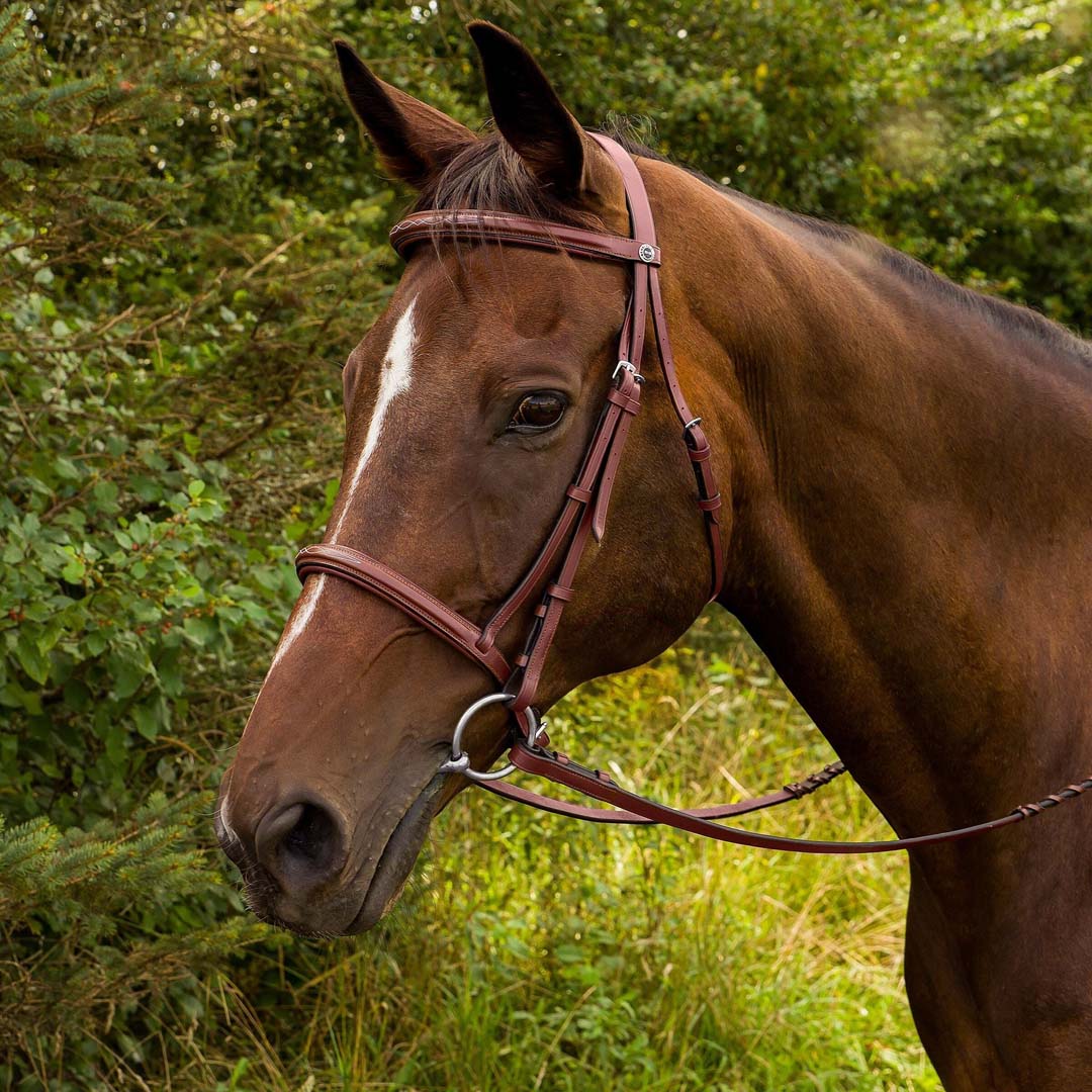 Henri de Rivel Advantage Fancy Raised Padded Bridle With Laced Reins - Breeches.com