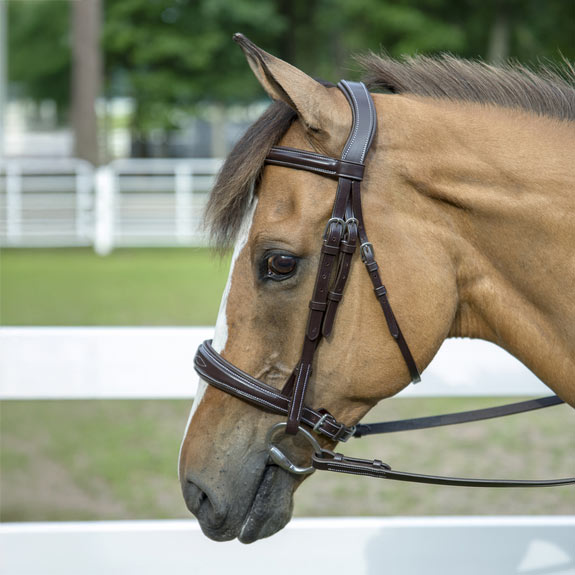 Henri de Rivel Pro Mono-Crown Padded Wide Noseband Bridle - Breeches.com