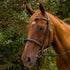 Henri de Rivel Pro Mono Crown Fancy Stitched Padded Bridle - Breeches.com
