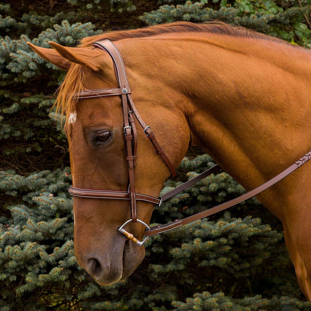 Henri de Rivel Pro Mono Crown Fancy Stitched Padded Bridle - Breeches.com