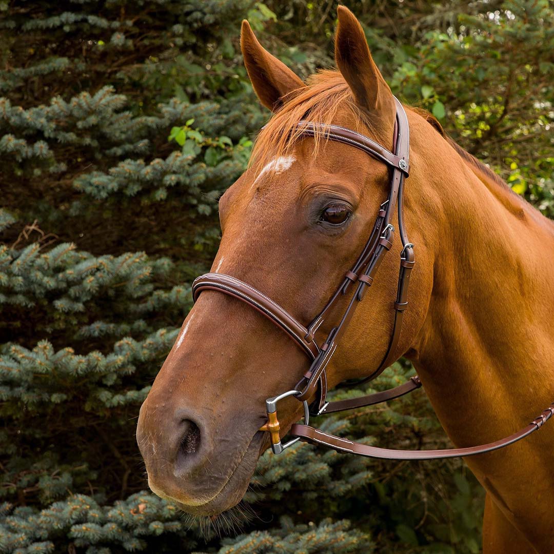 Henri de Rivel Pro Mono Crown Fancy Stitched Padded Bridle - Breeches.com