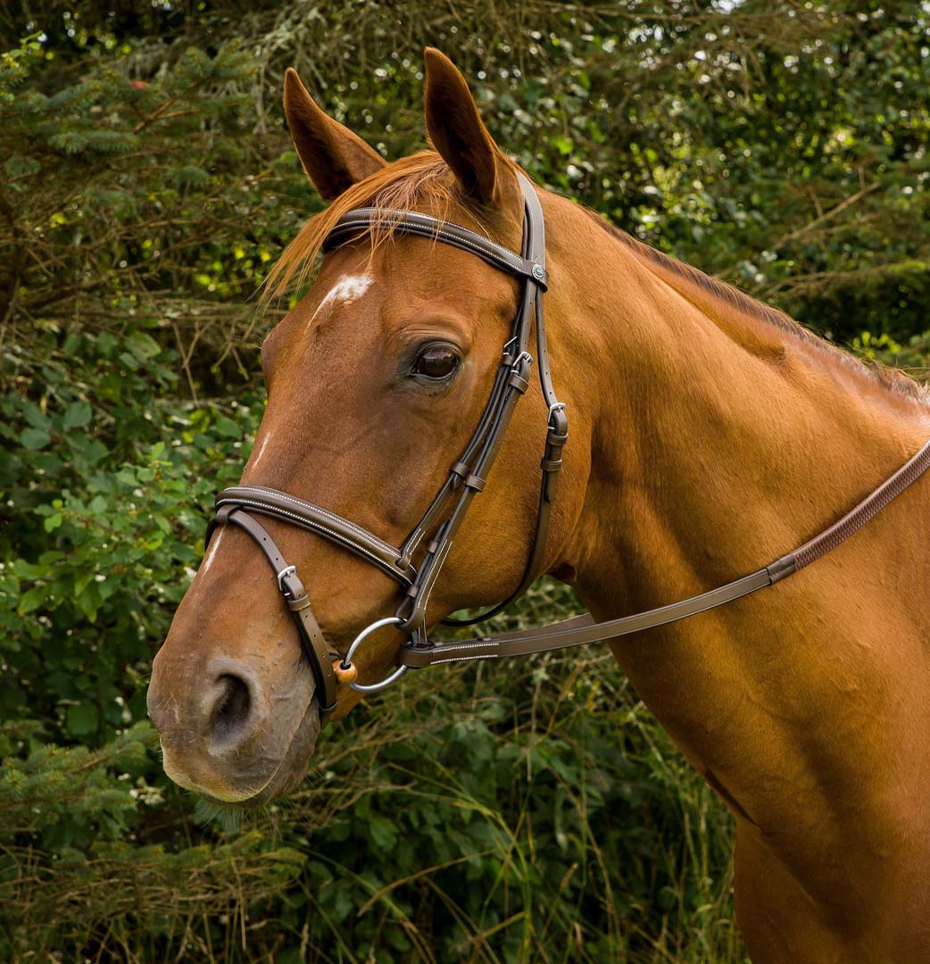 Henri de Rivel Pro Mono Crown Bridle with Flash and Rubber Reins - Breeches.com