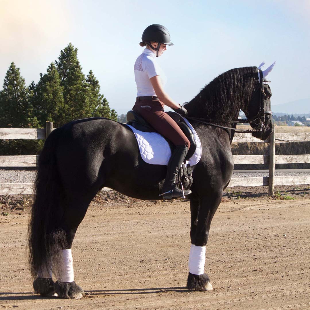 Equine Couture Fly Bonnet with Pearls and Crystals - Breeches.com