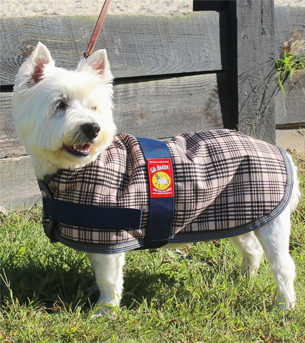 5 A Baker Dog Blanket Breeches