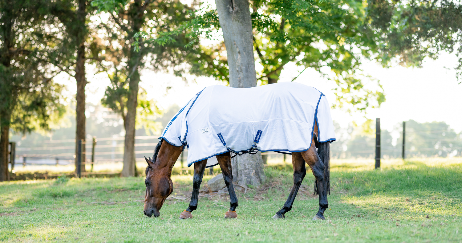 Stay Covered: New Fly Sheets for Summer