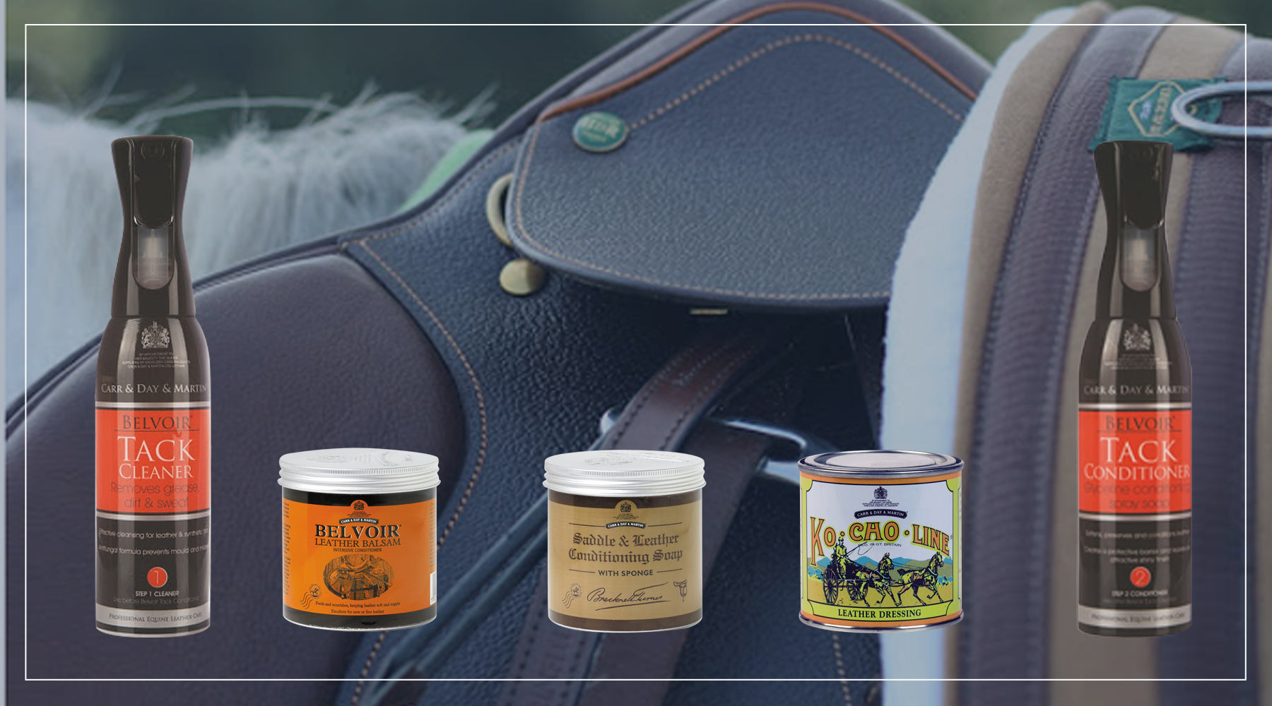 Saddles and Bridles: Leather Care 101