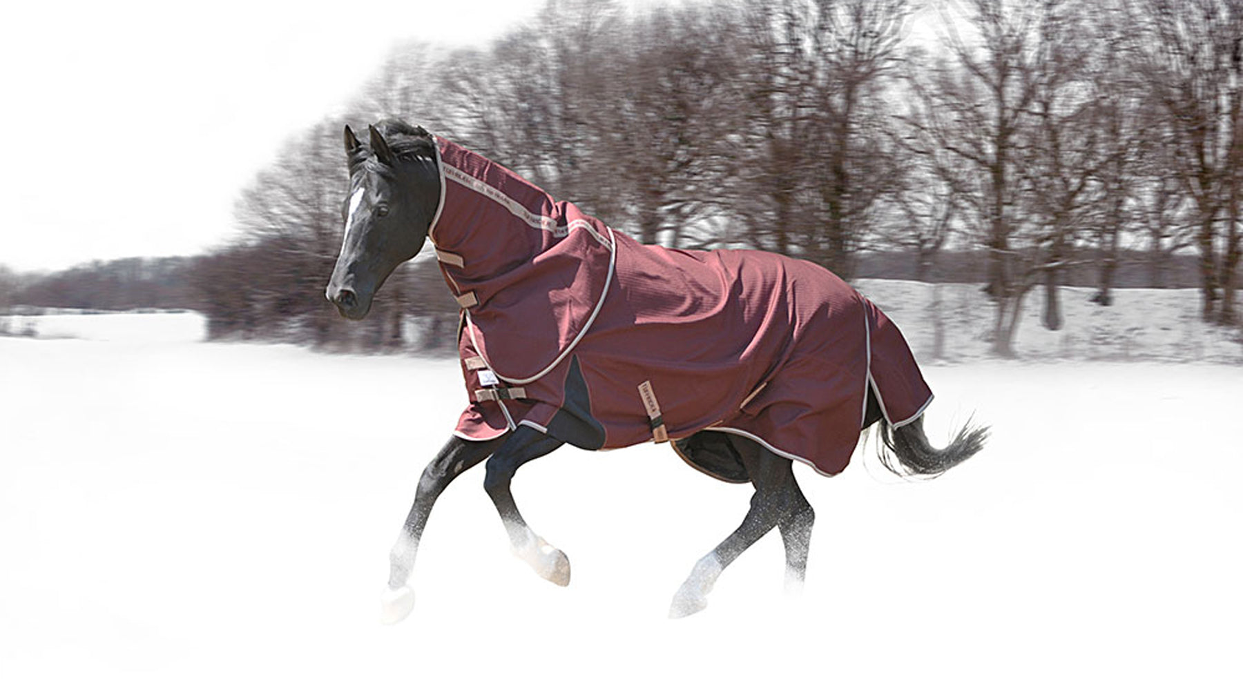 Grab Your Helmet, Long Socks, Winter Boots and Gloves! We’re Going to the Barn!