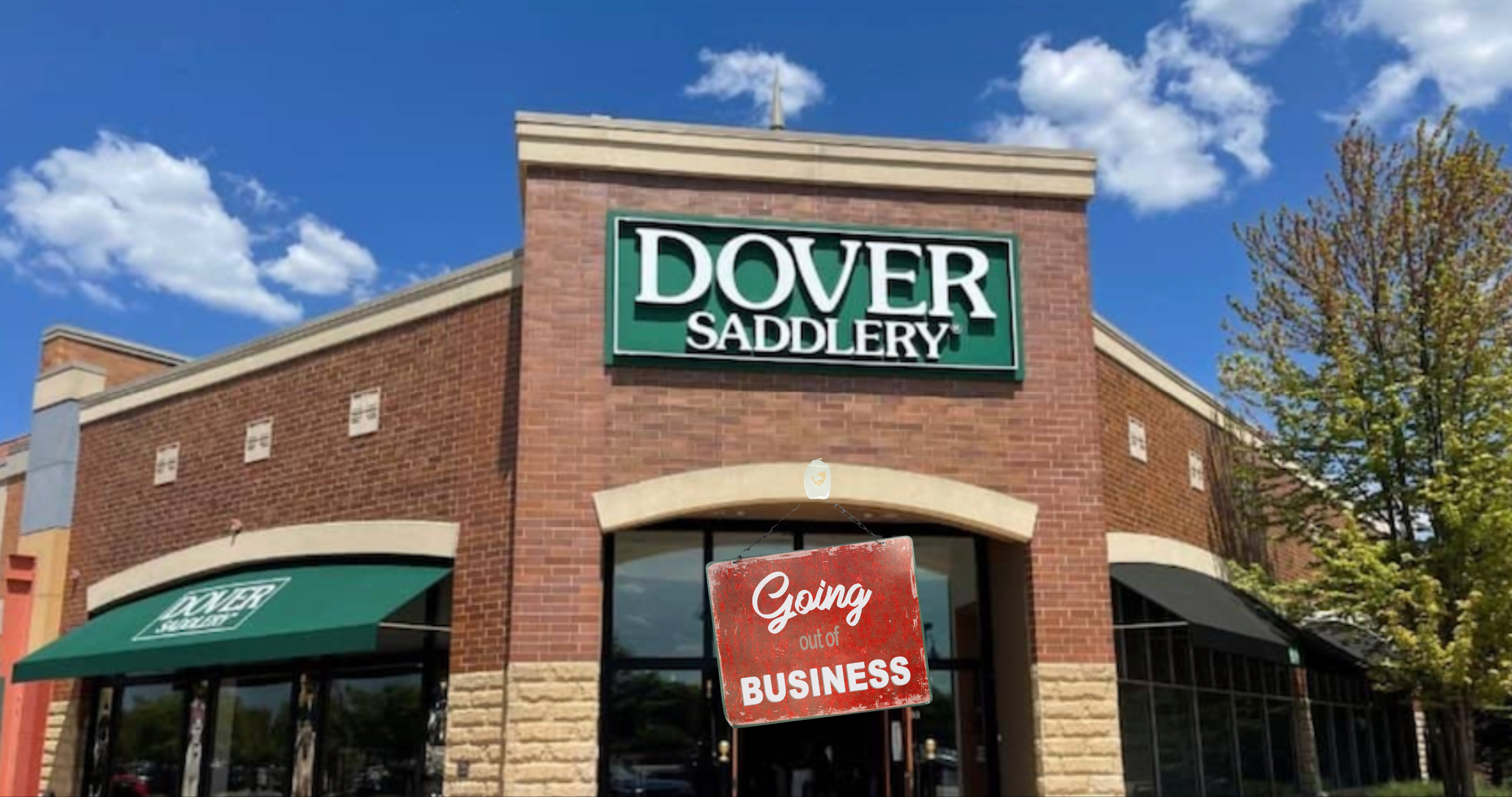 Dover Saddlery Closure: Verified Facts & Where Riders Are Going