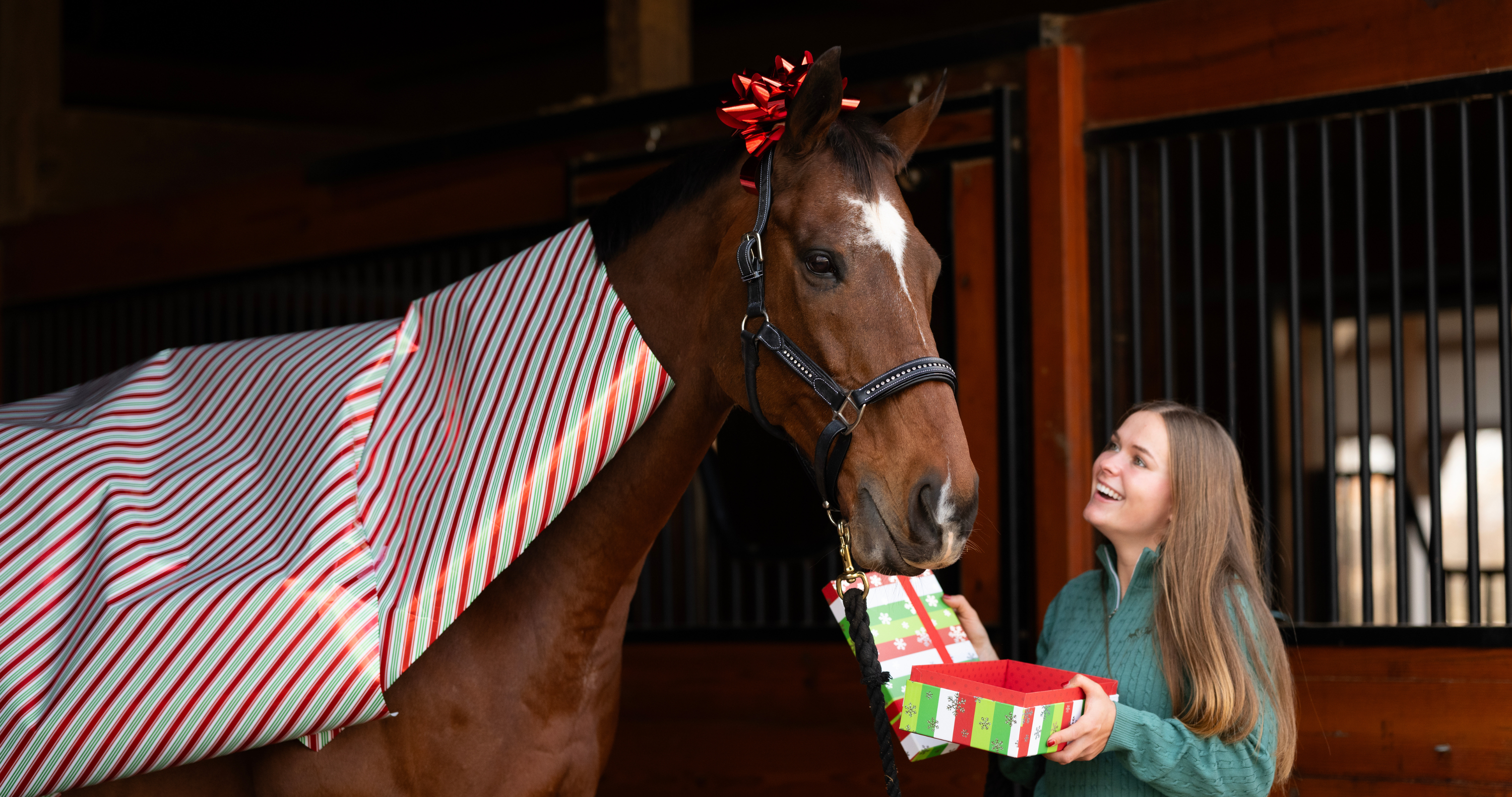 🎁 BFCM Gift Guide 2025: Saddle Up for Savings & Holiday Cheer!