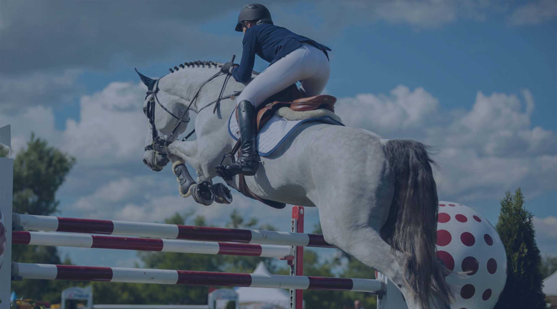 Your Horse Show Checklist