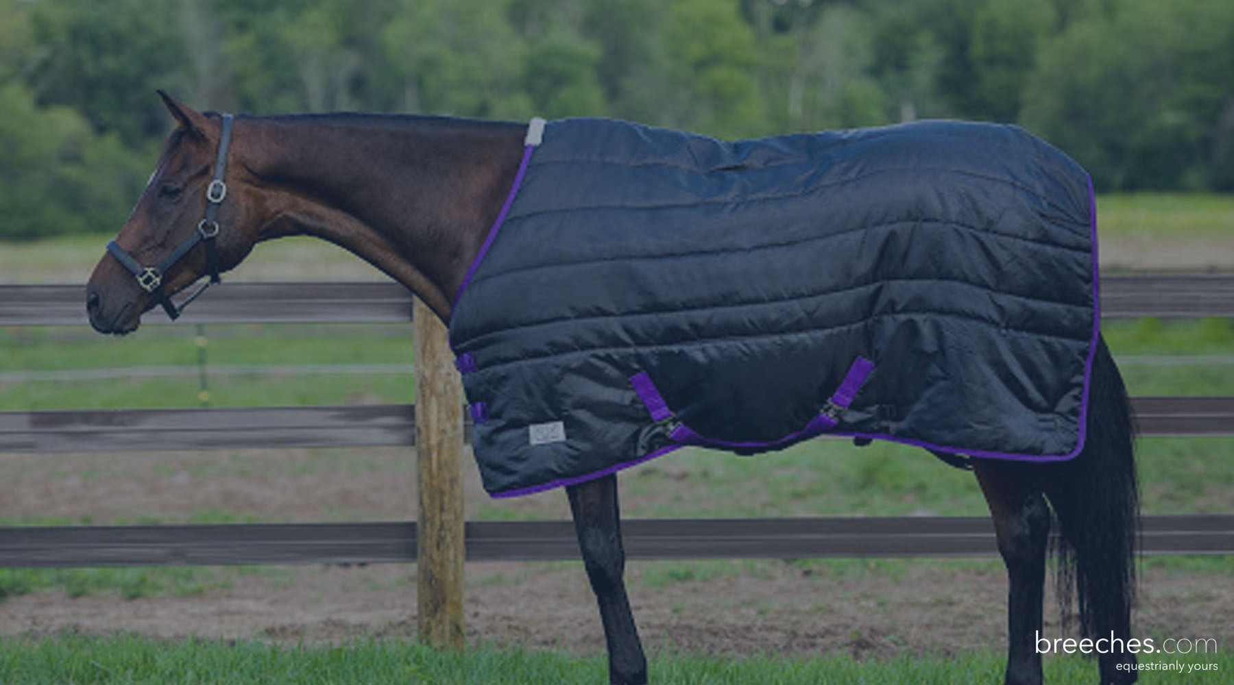 How To Measure Your Horse For A Blanket Plus a few tips to make sure it DOES fit!