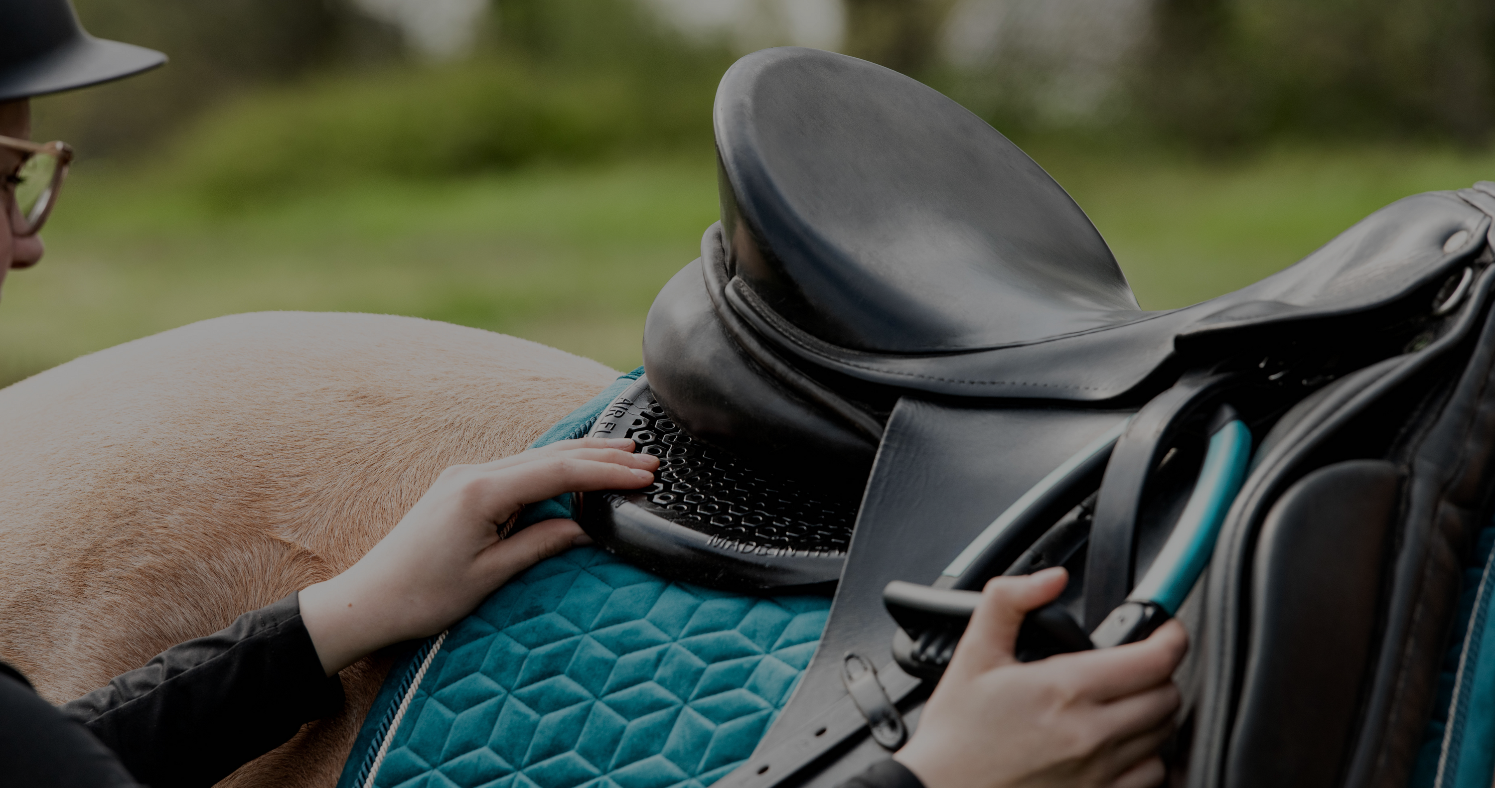 close up of black saddle and blue saddle pad on a bay horse, show jumping saddle pads, wither relief saddle pads, cutback saddle pad, saddle pad