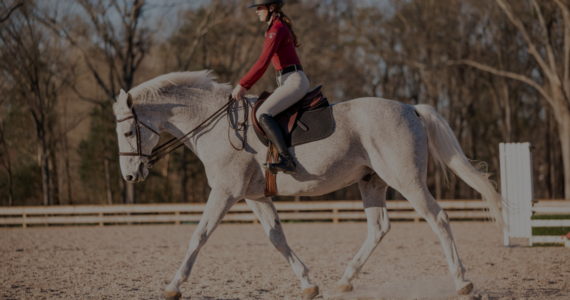 horse tack store