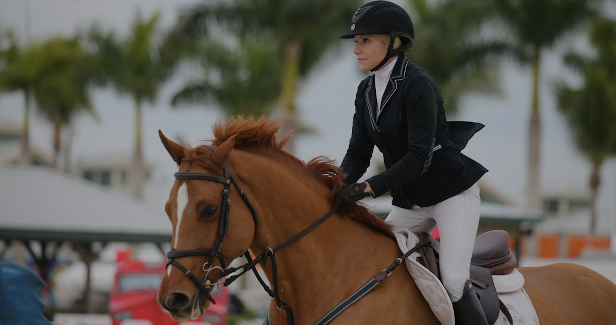 winter equestrian festival
