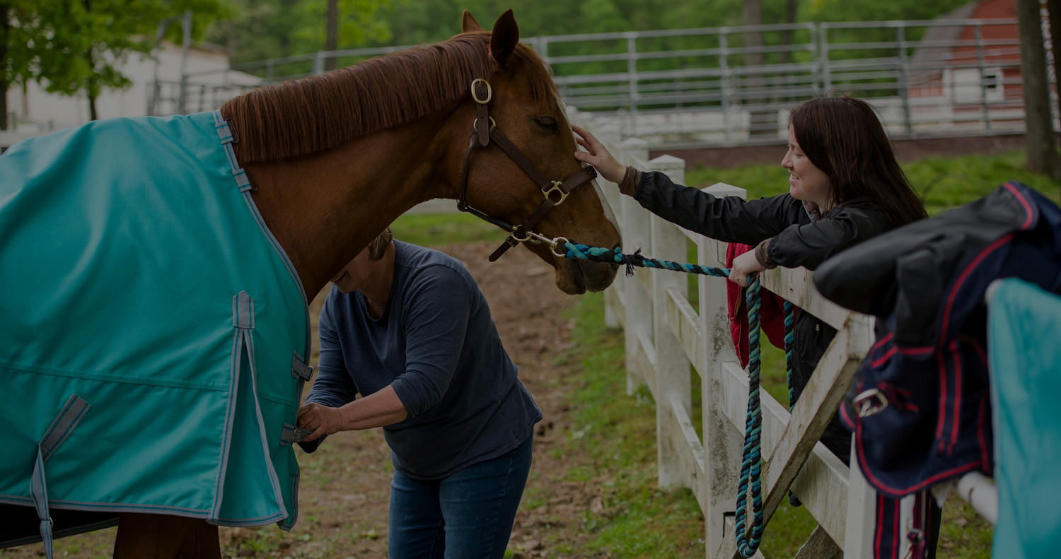 horse gifts