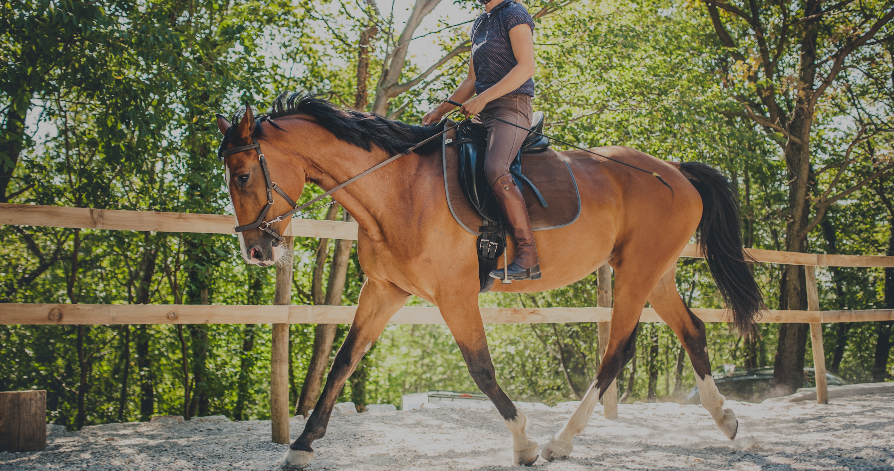 dressage fashion, outfits for horseback riding