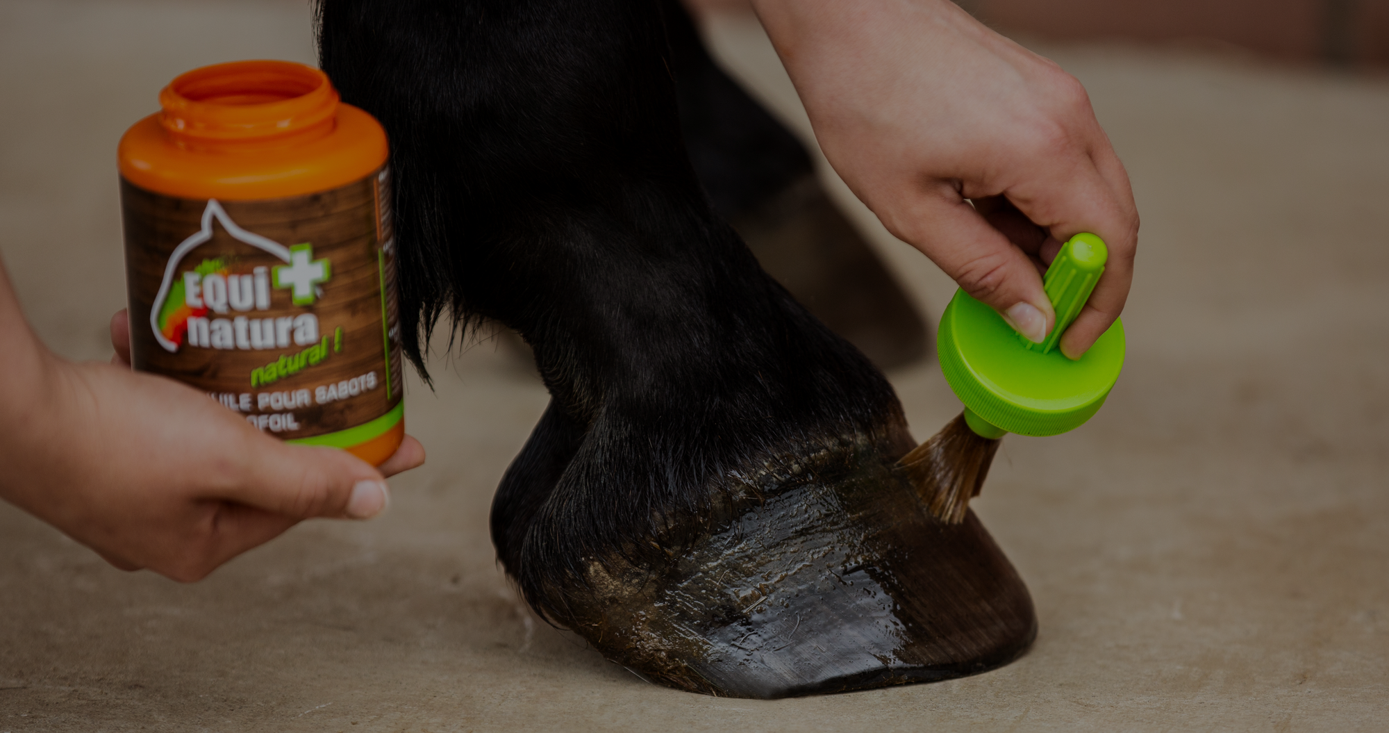 equinatura hoof oil application, natural horse care using herbs for horses