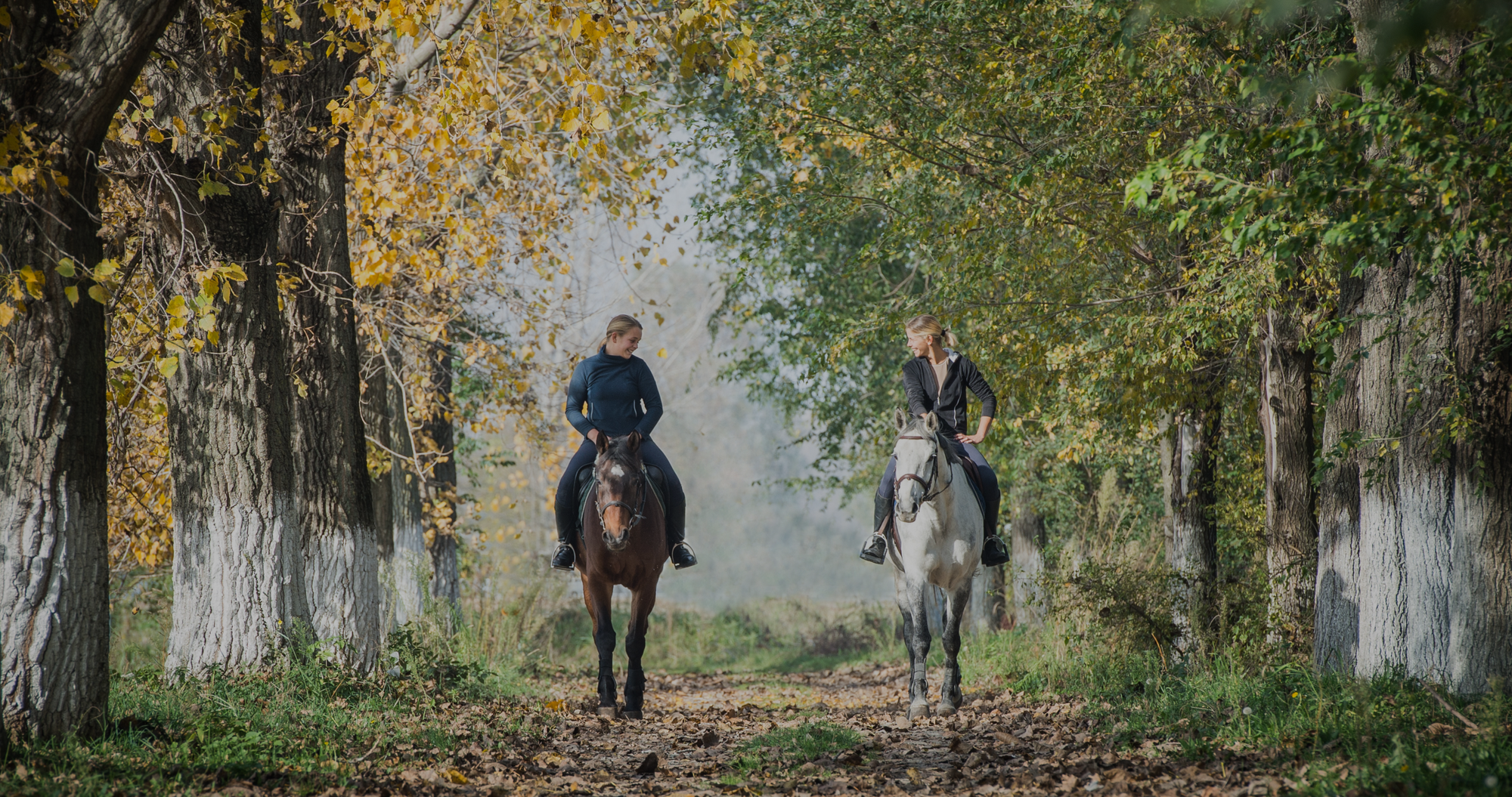 fall equestrian style trail riding