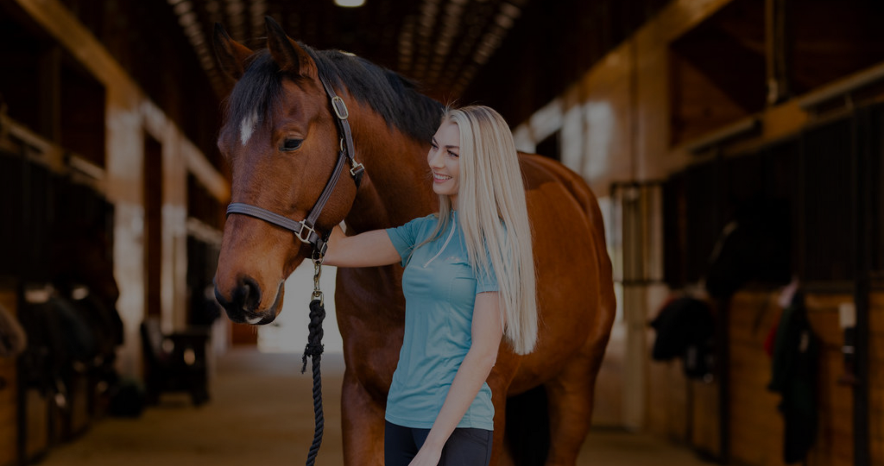 gifts for horse lovers