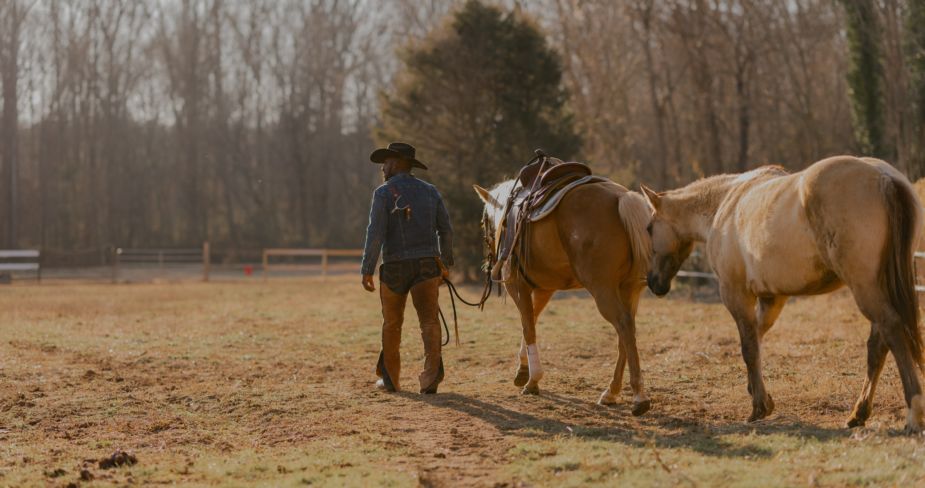 gift ideas for horse lovers, horse gifts for men