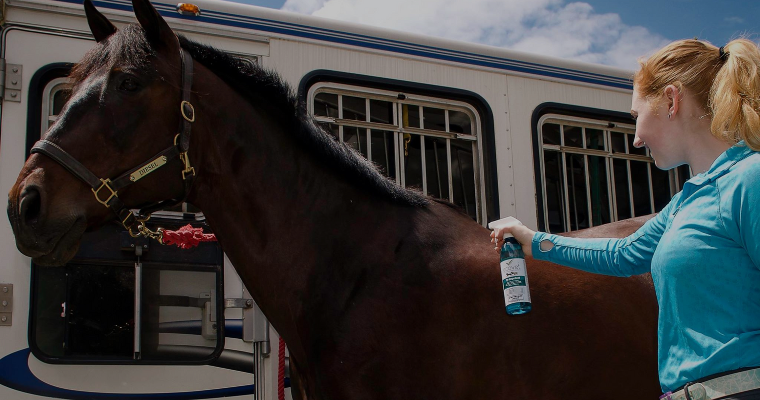 fly prevention for horses, fly control for horses