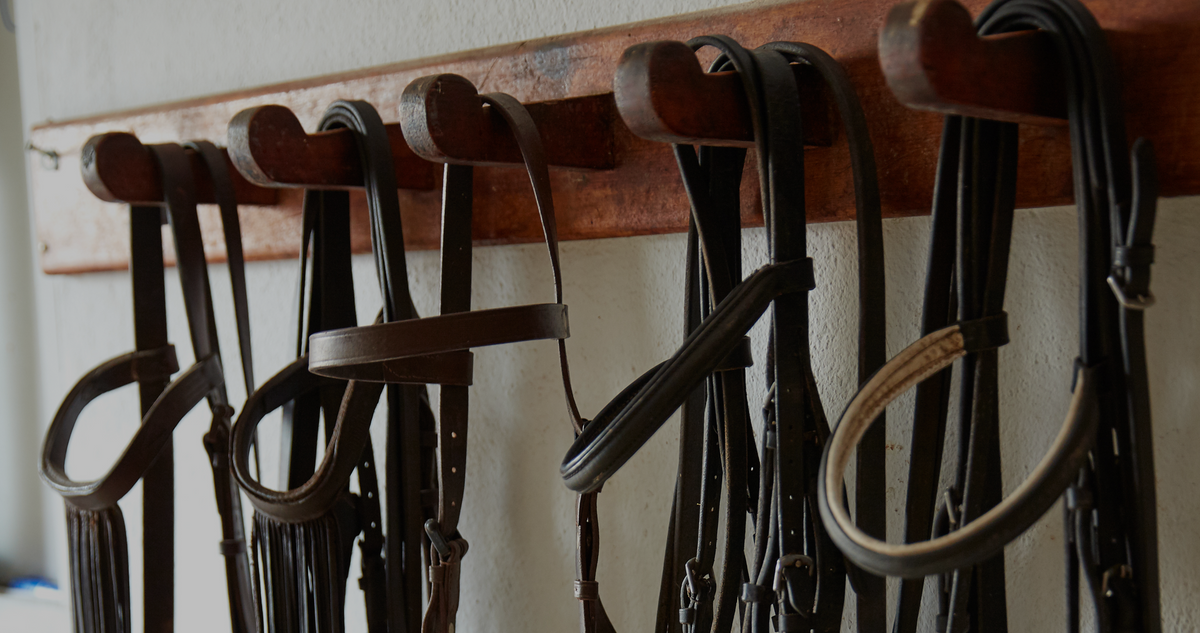 Tack Ragging How to Take Care of Your Tack – Breeches.com