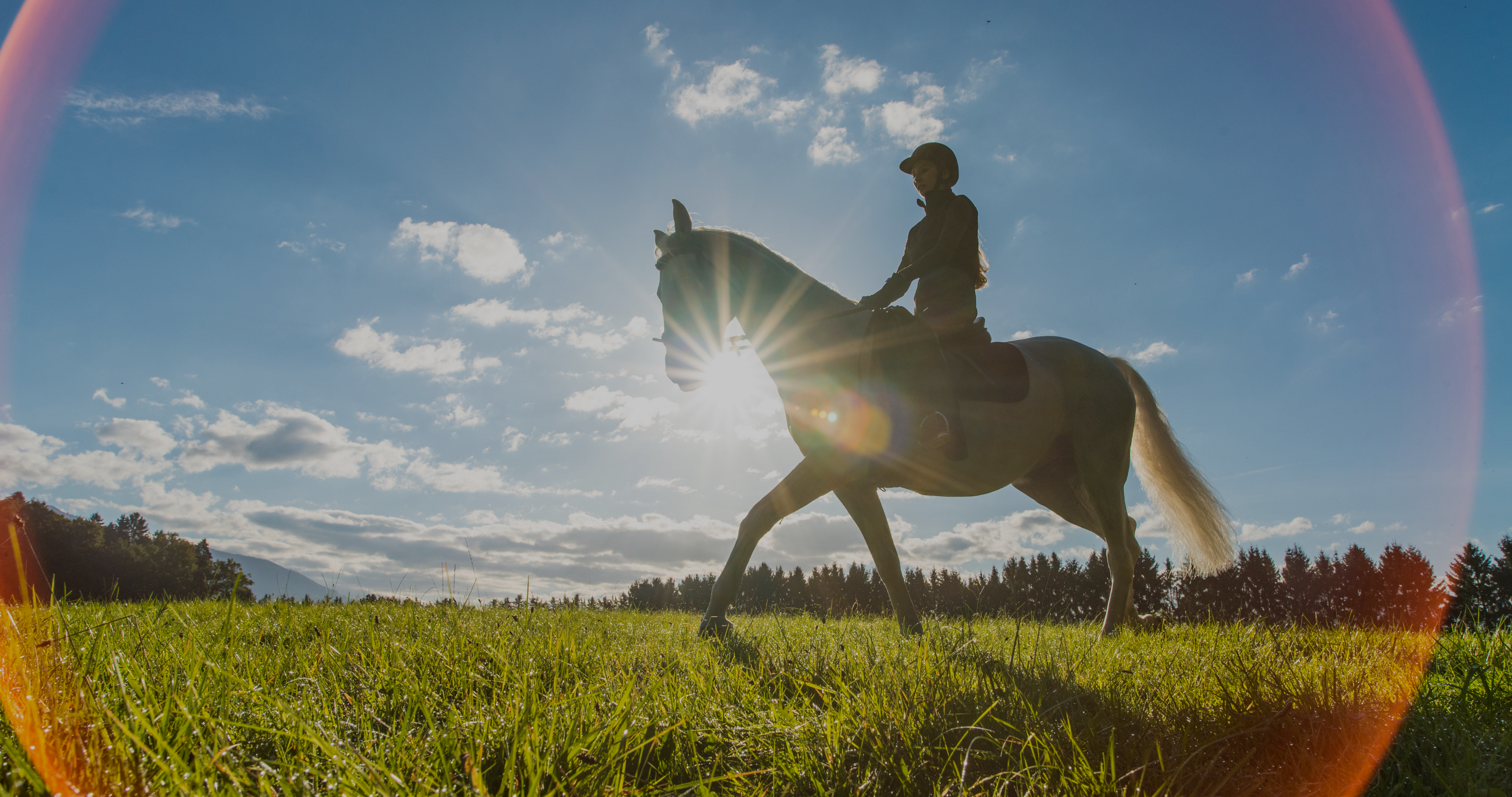 horse fly repellent for trail riding, horse and rider in silhouette riding through field on sunny day