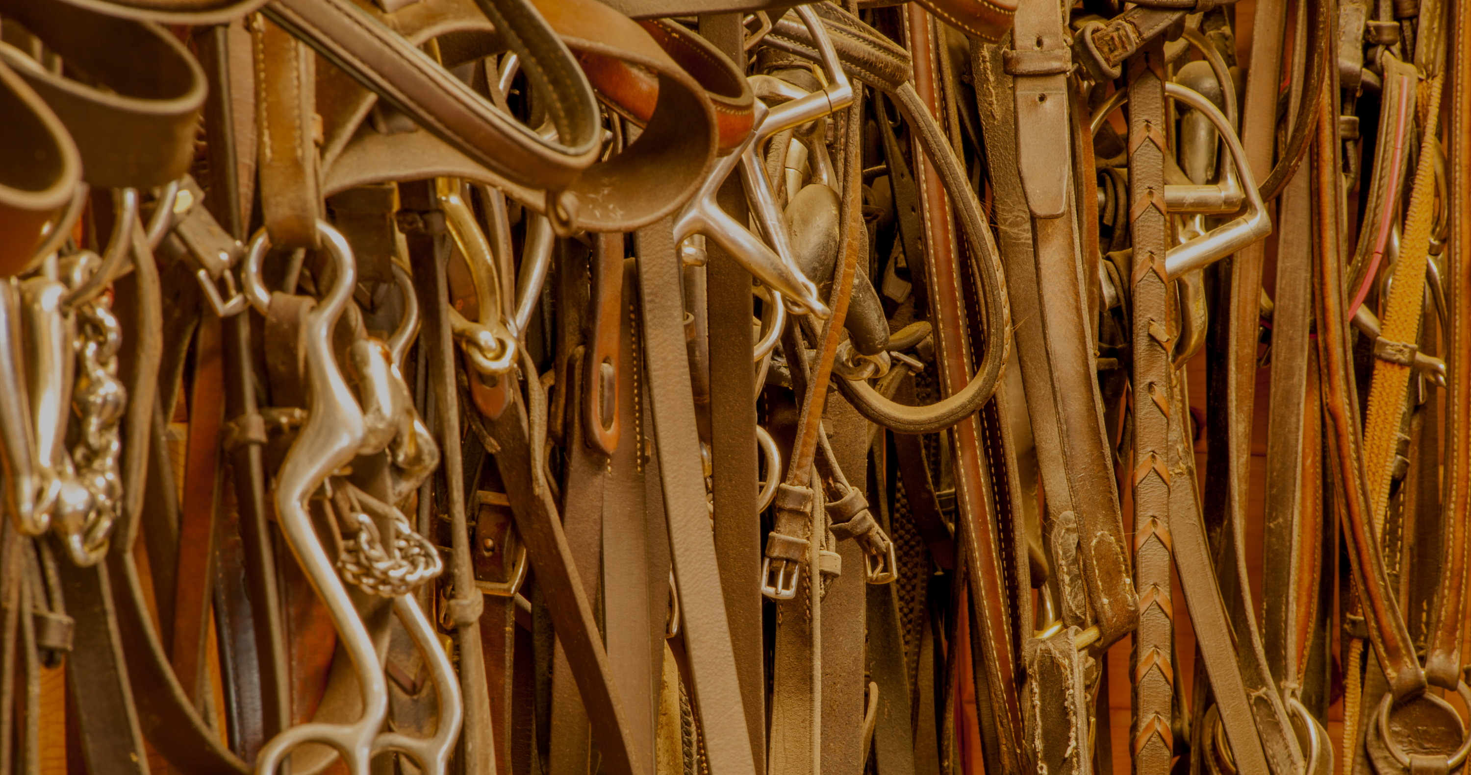 horse tack