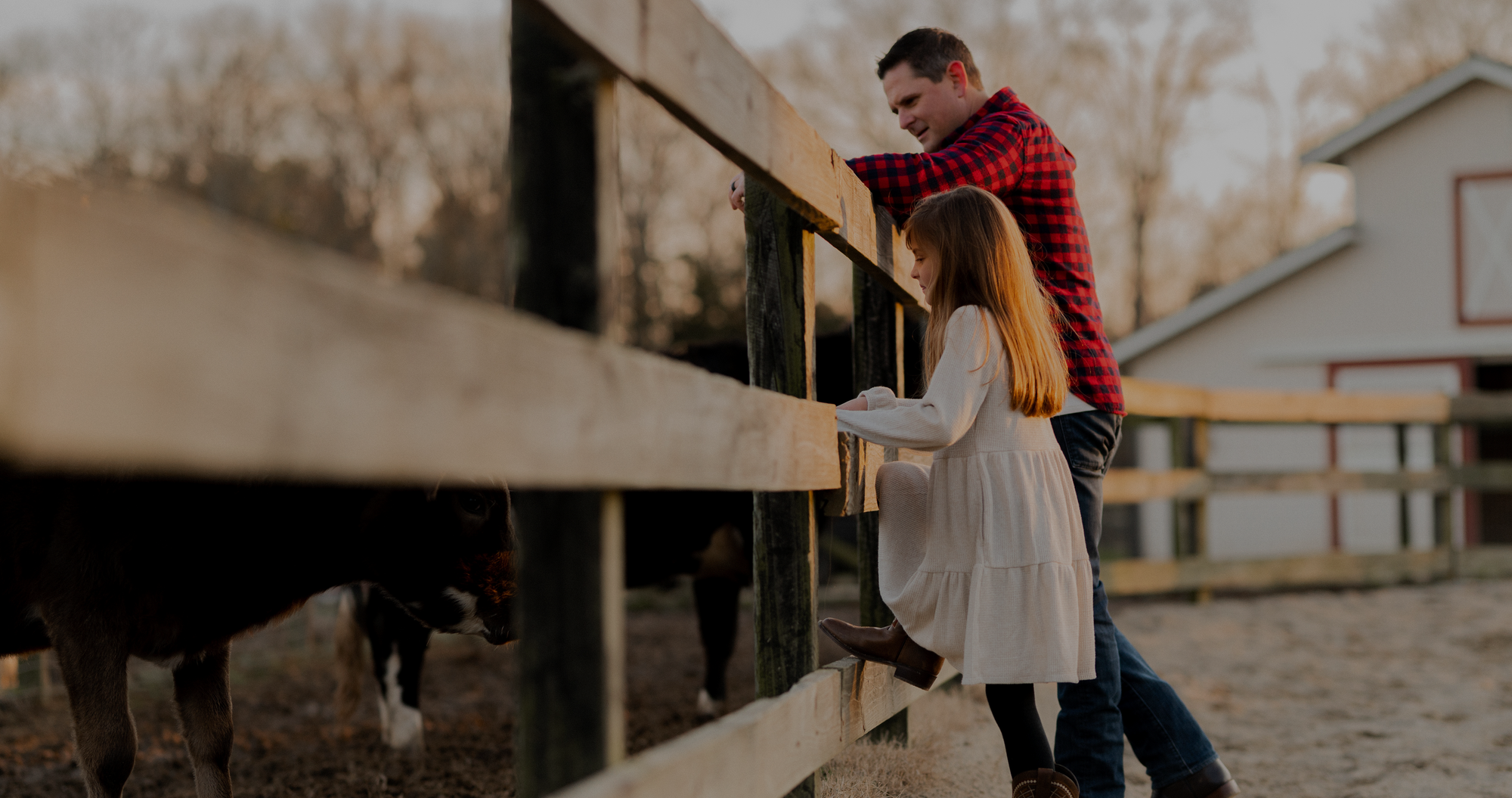 horse dad and daughter stand by fence looking at cows