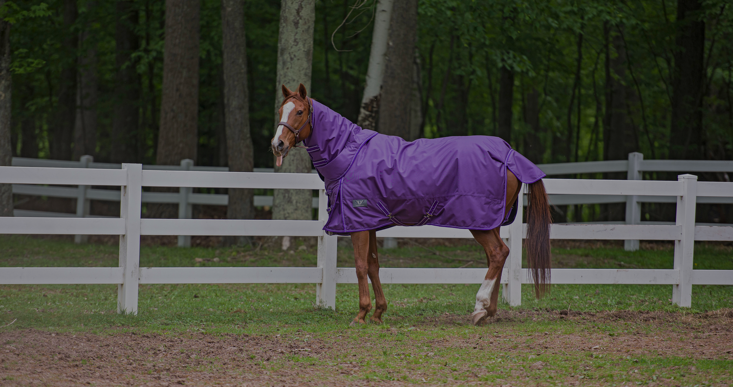 horse blankets