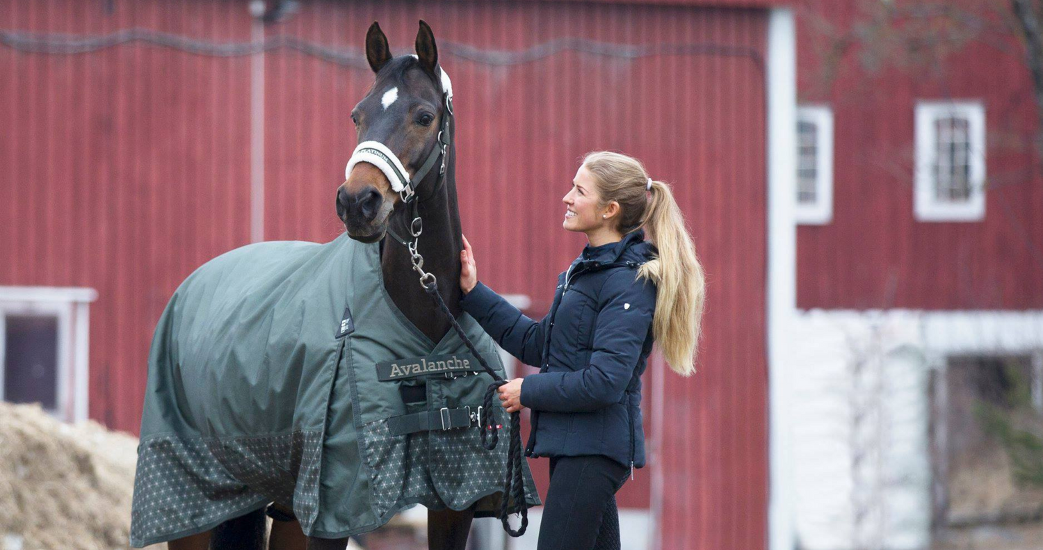 horse blanket