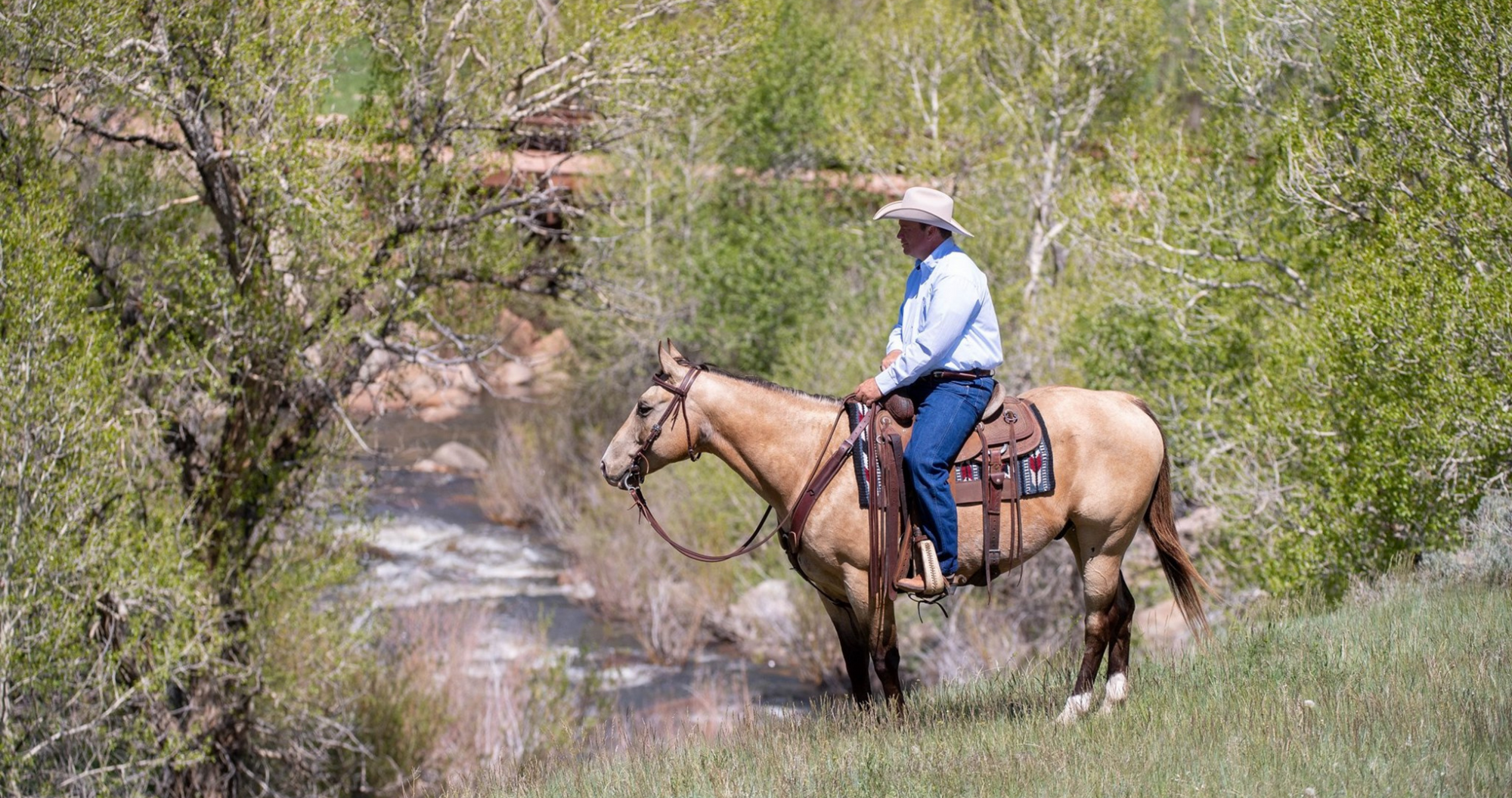 cowboy trail riding in western horse saddle on buckskin horse by the creek. Western saddles for sale. 