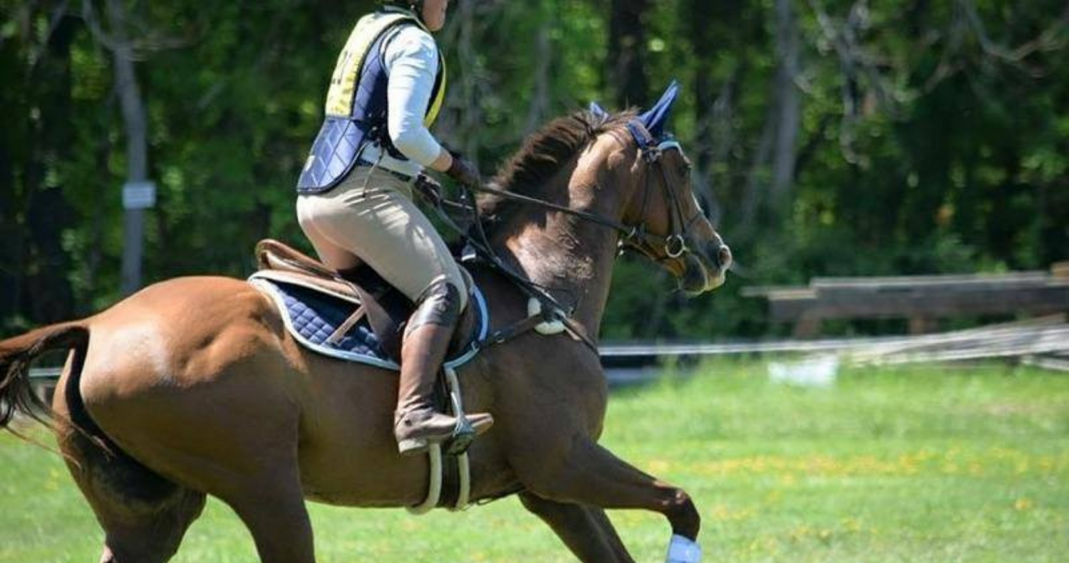 english saddle